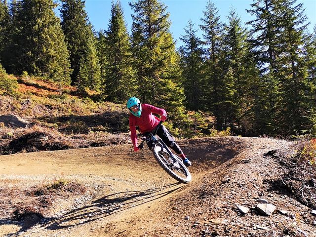 Sportchalet Viehhofen Ferienhaus